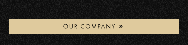 OUR COMPANY