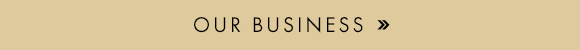 OUR BUSINESS